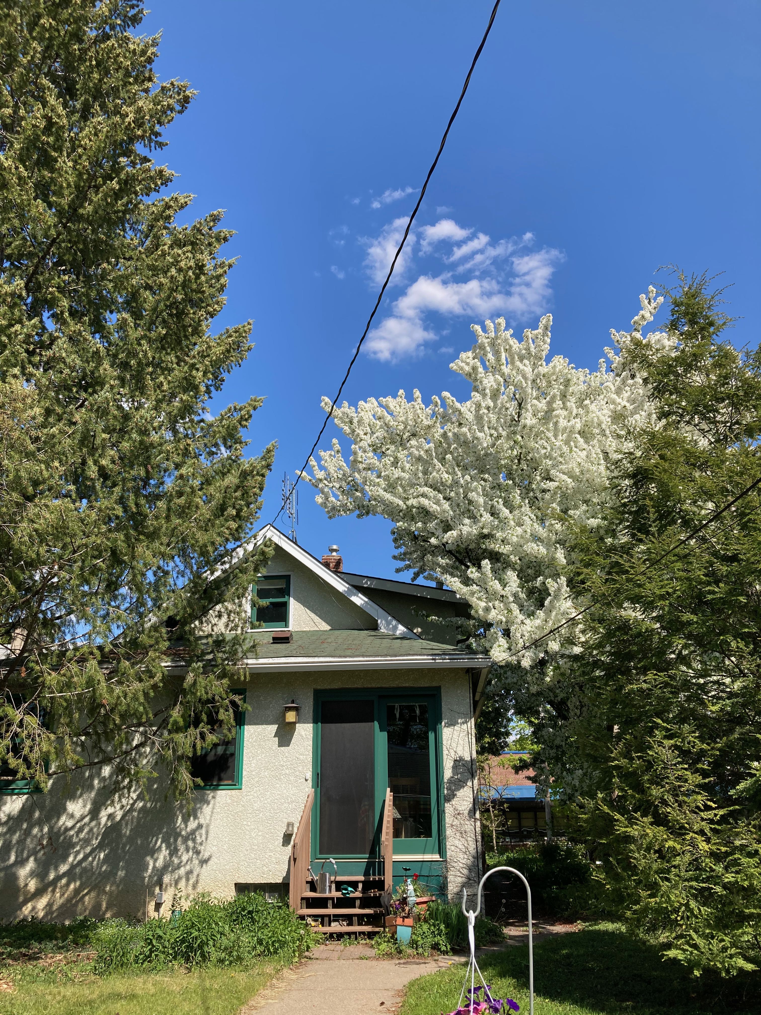 Viewing house from back yard